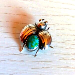 Silver and Turquoise Beetle Brooch